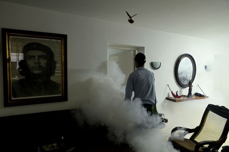 Cuban authorities battle wave of mosquito-borne illnesses