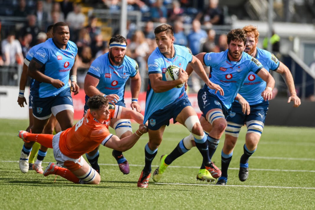 Bulls tie down rising back-row bruiser