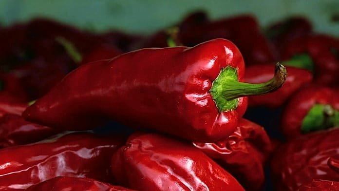 The Espelette red pepper festival: food, music, and thousands of visitors