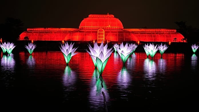 One million LEDs: Kew Gardens unveils new Christmas light trail