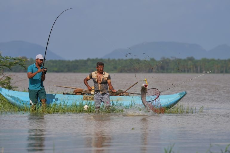 Sri Lankan villagers adapt to threat of snakehead fish invasion
