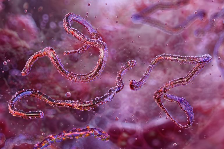 Ethiopia confirms first outbreak of Marburg virus