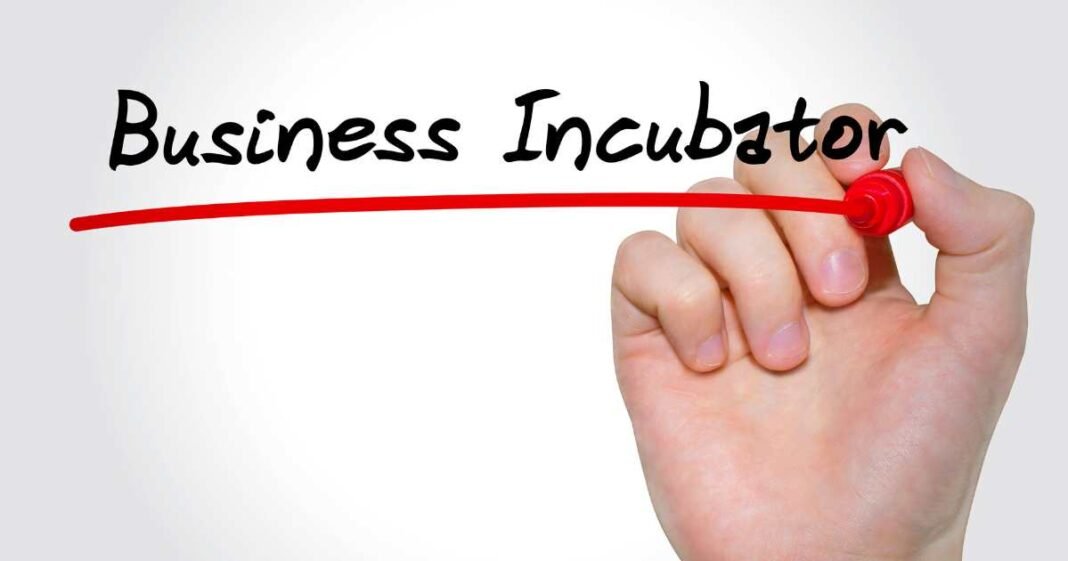 How Effective Are Business Incubators for SMEs?
