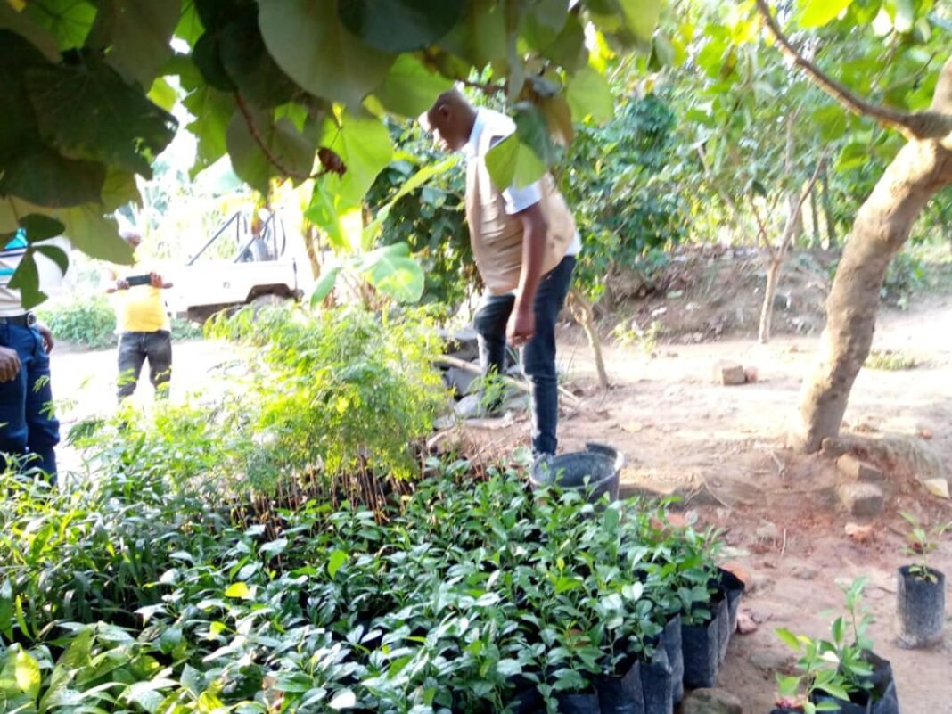 Le gouvernement sensibilise les agriculteurs de Kindu à s'organiser en coopératives