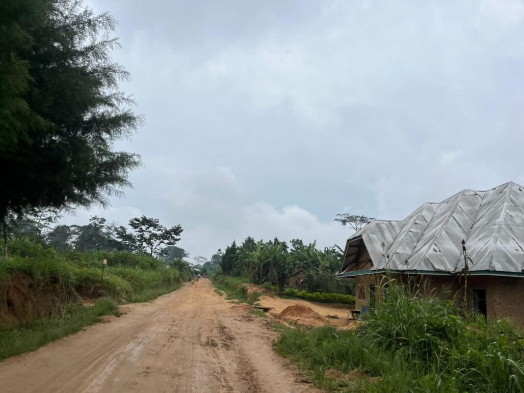La CRDH appelle l’armée à anticiper les attaques des ADF en Ituri