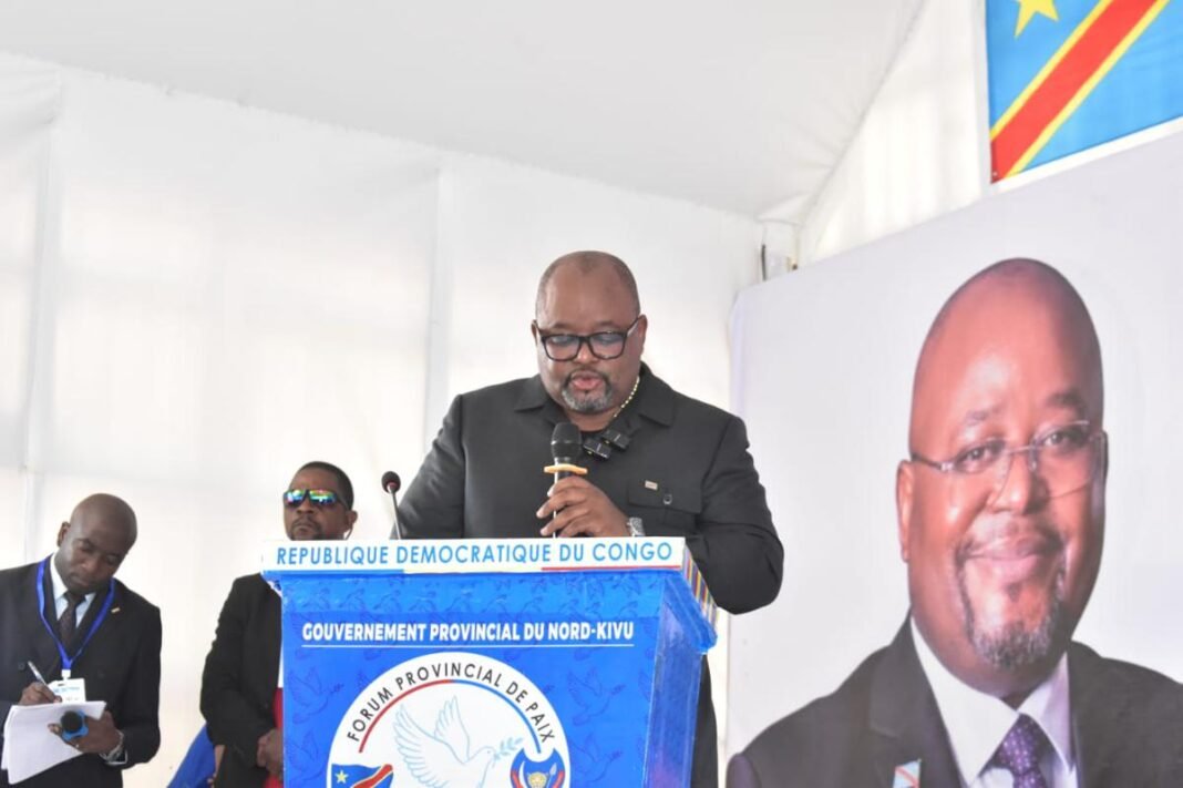 Est de la RDC: l'armée veut « des opérations multidimensionnelles » contre les ADF