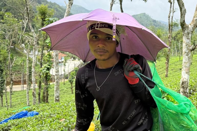 Driven by money, pushed by passion: Migrant tea pickers of Kerala, India