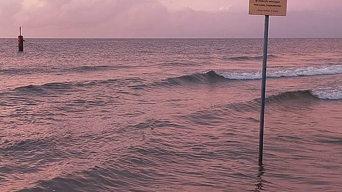 Experts warn of rapid loss of water in the Baltic Sea: ‘A vibrant reef is turning into an underwater wasteland’