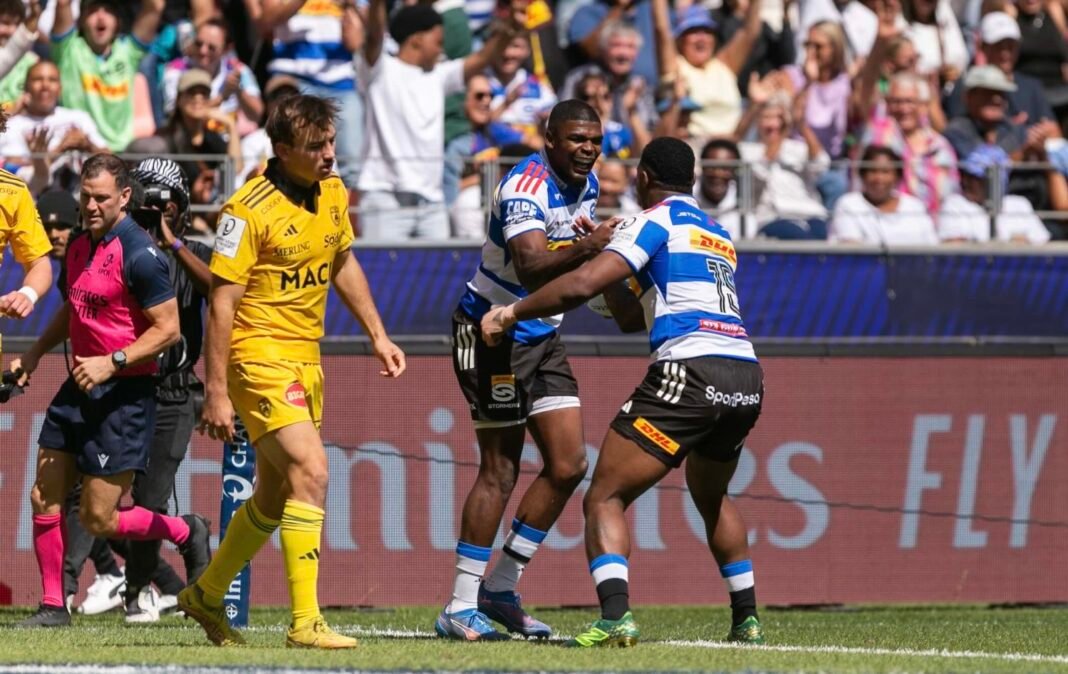 Bulls beat Stormers to speedster’s signature