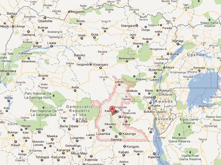 Cinq sites identifiés pour le projet de mini-barrages électriques au Maniema