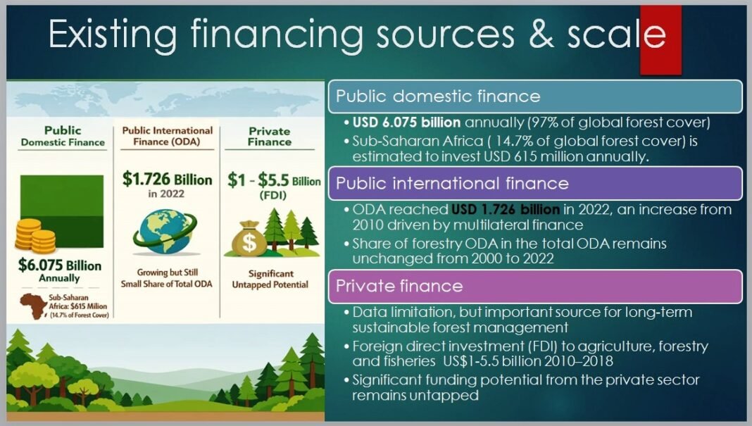 Expert raises alarm over Africa’s forest financing crisis and economic impact