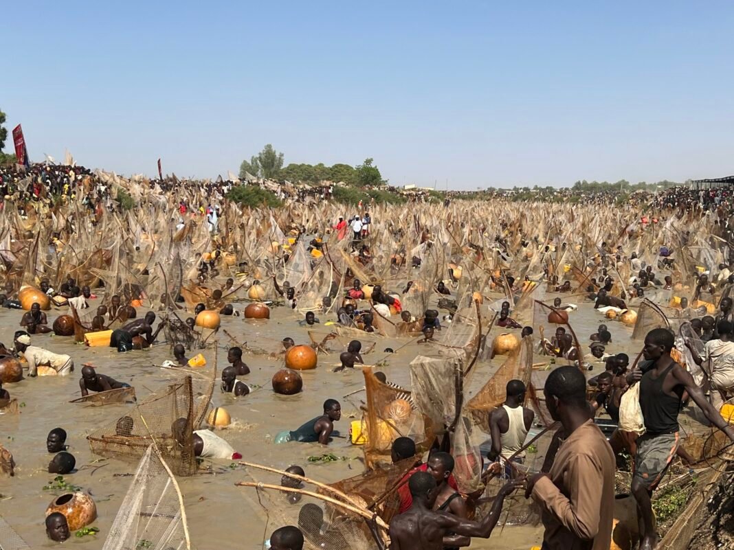 Why Everyone Is Talking About The Argungu Festival