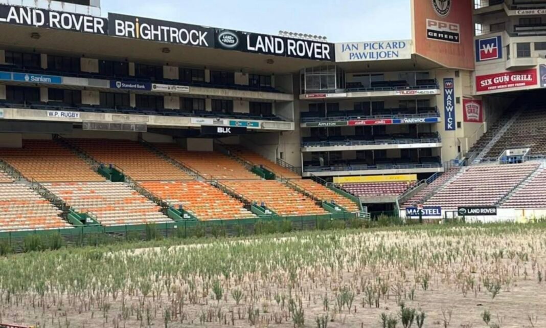 WP clubs to have ‘final say’ on Newlands sale