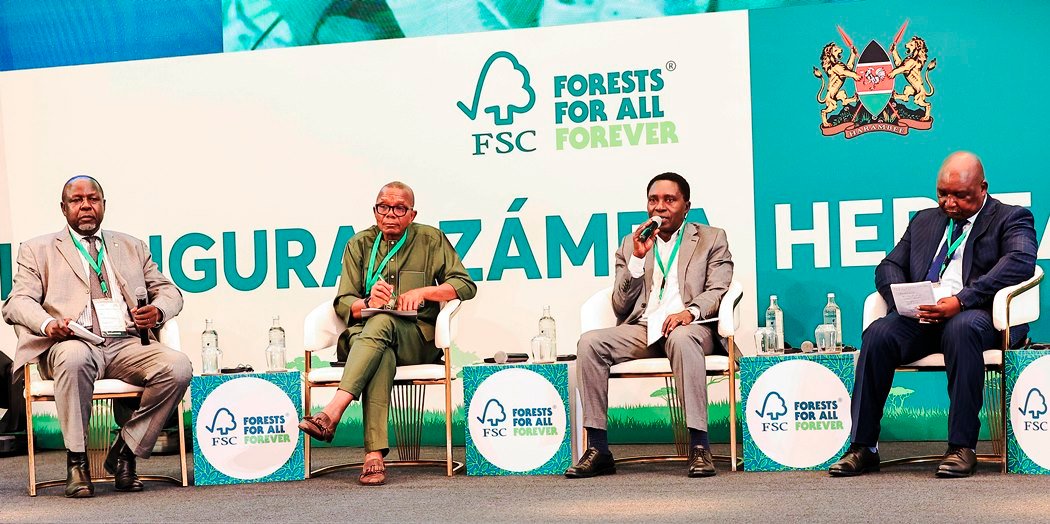 Forestry and climate change expert urge Africa’s unity to tackle urgent forest conservation crisis