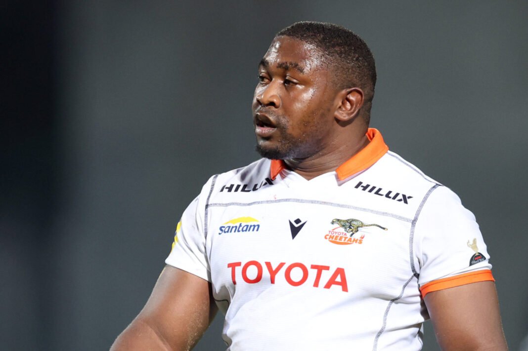 Dobbo lifts lid on Paulo signing