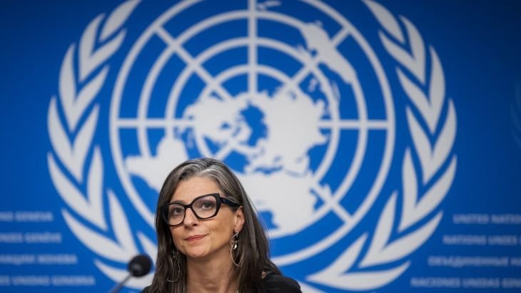 Over 100 artists for Palestine back UN’s Albanese after resignation calls