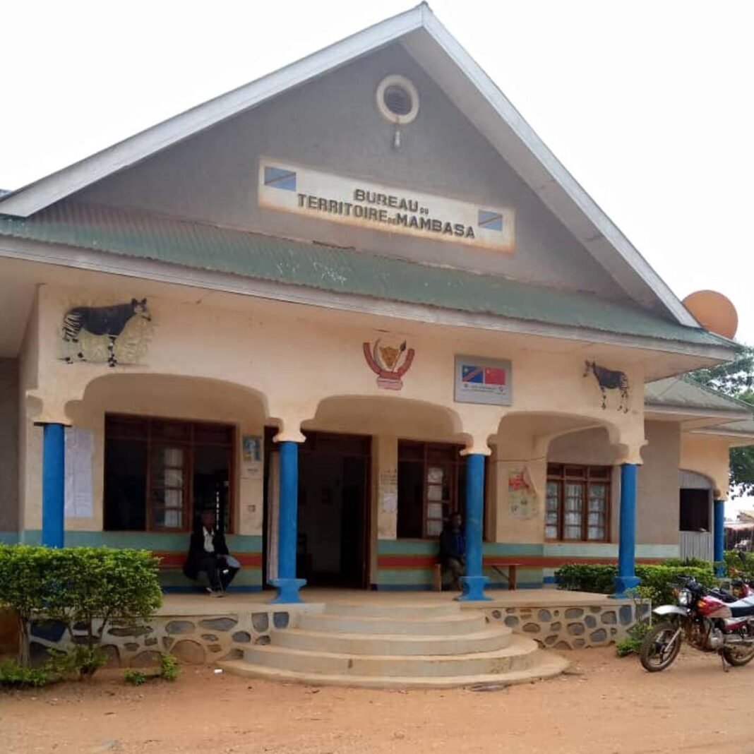 Une attaque meurtrière fait une dizaine de morts à Mambasa et paralyse la RN4