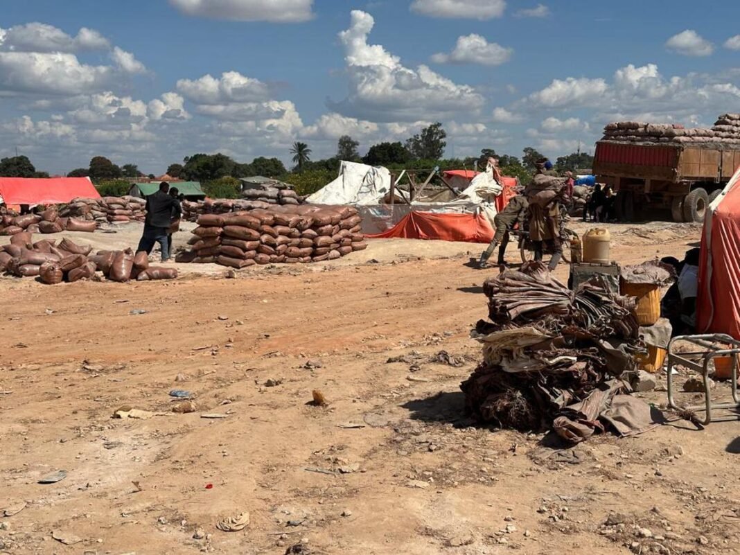 Eboulement au site minier de Safi : le SAEMAPE annonce un bilan provisoire de 9 morts