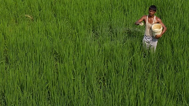 Food security concerns mount as Iran war hurts fertilizer trade