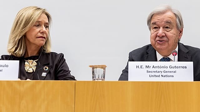 World experiences hottest 11 years on record, WMO warns