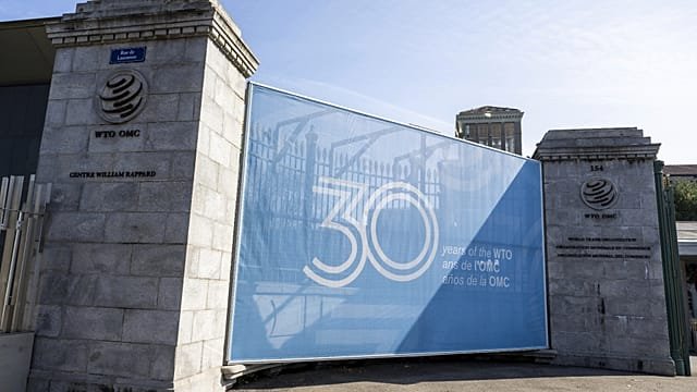 Taiwan skips WTO meeting after Cameroon labels it ‘Province of China’