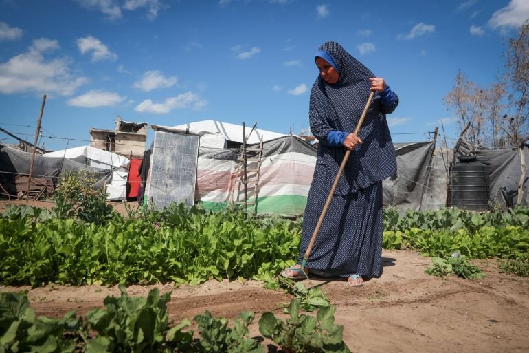 Land Day in Gaza: Between memory and the fight for what remains