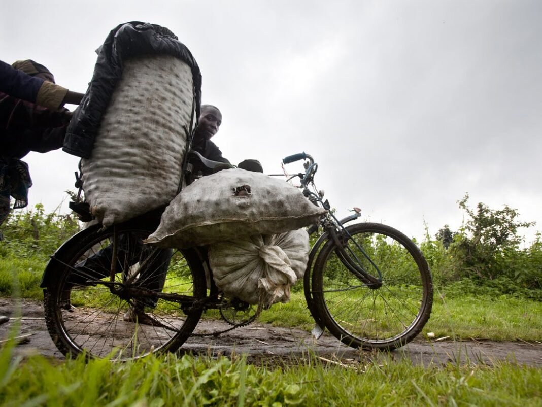 Les transporteurs à vélo dénoncent les tracasseries sur les routes du Kasaï-Central