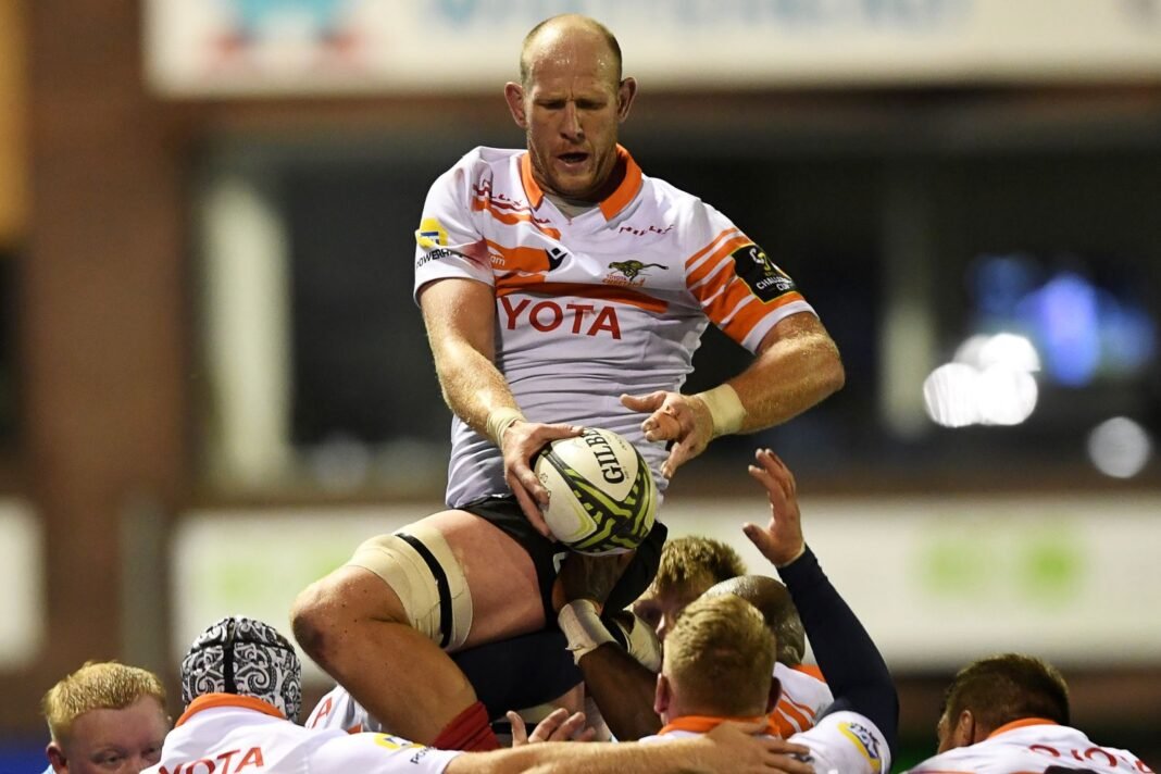Cheetahs boosted by returning stars
