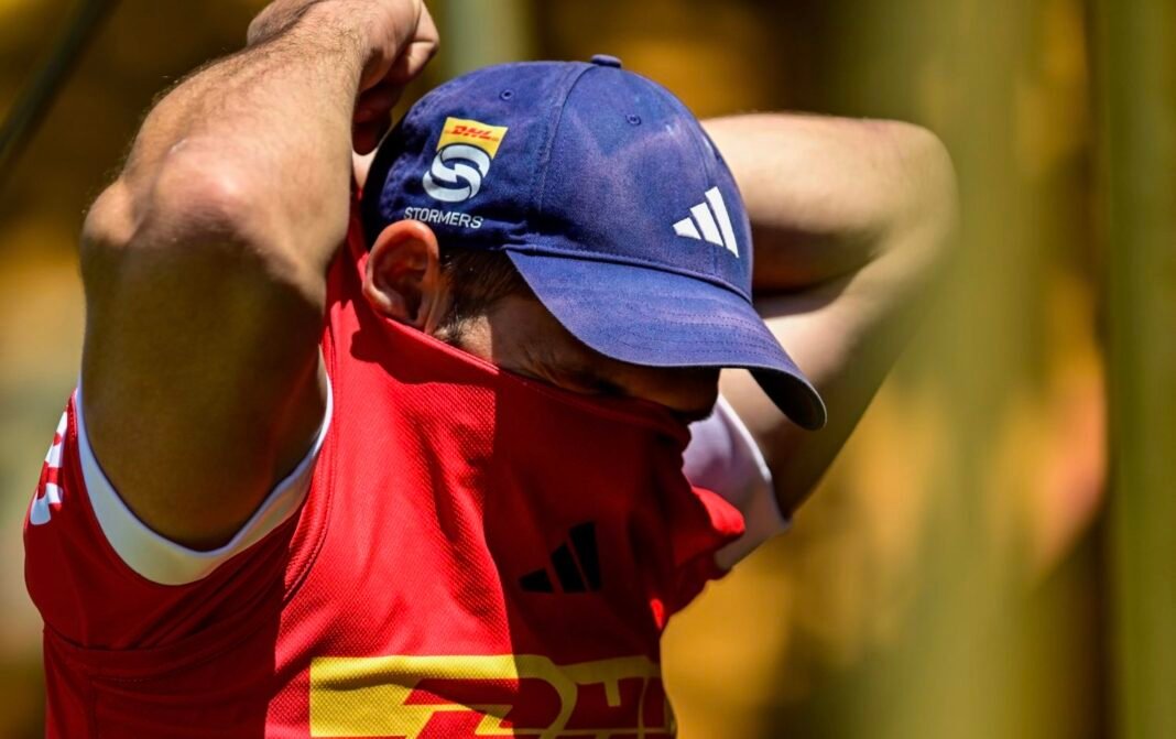 ‘Different cat’ set for Stormers return