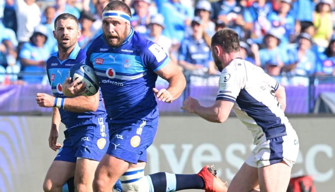 Century man Steenekamp leads Bulls charge