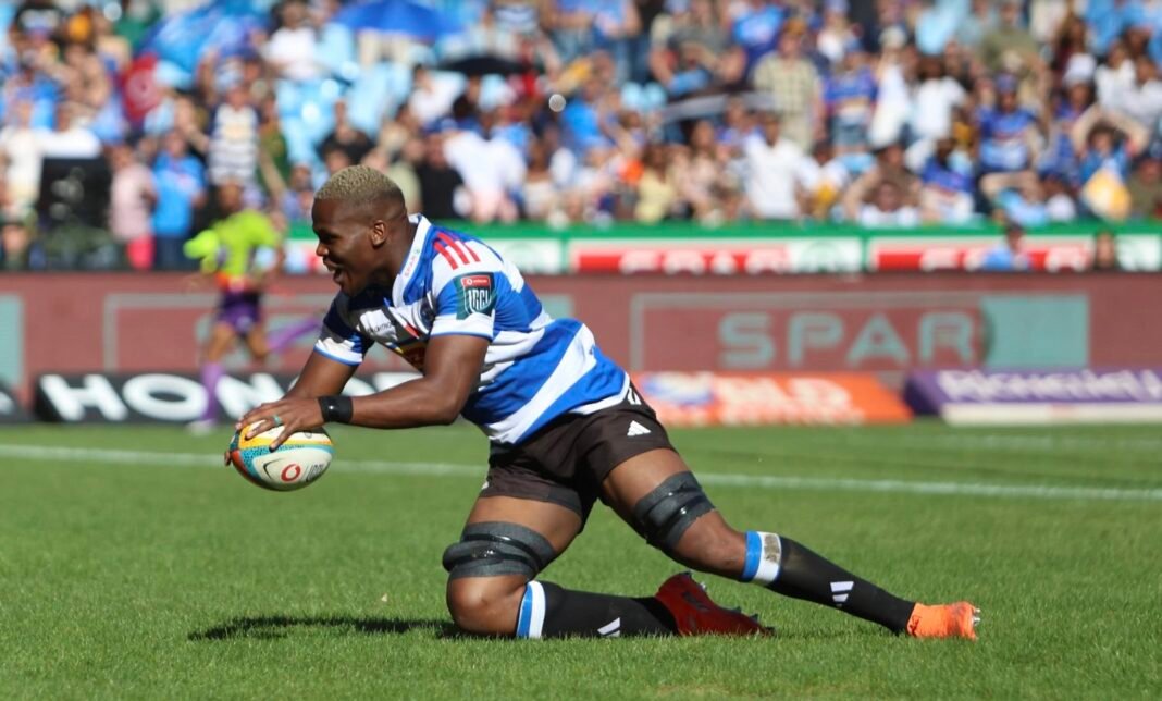 Hacjivah happy to be Stormers’ hybrid weapon