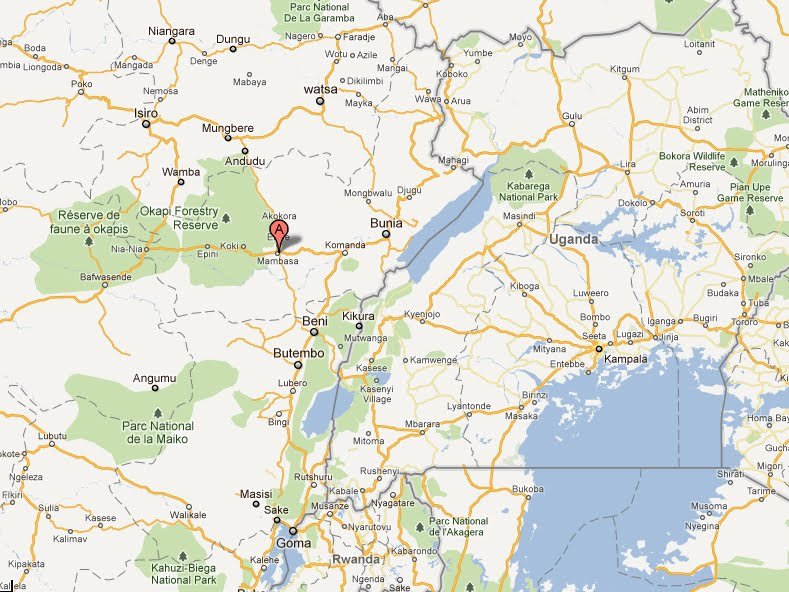 Ituri : les FARDC reprennent le contrôle de Muchacha, un important site minier exploité par les ADF