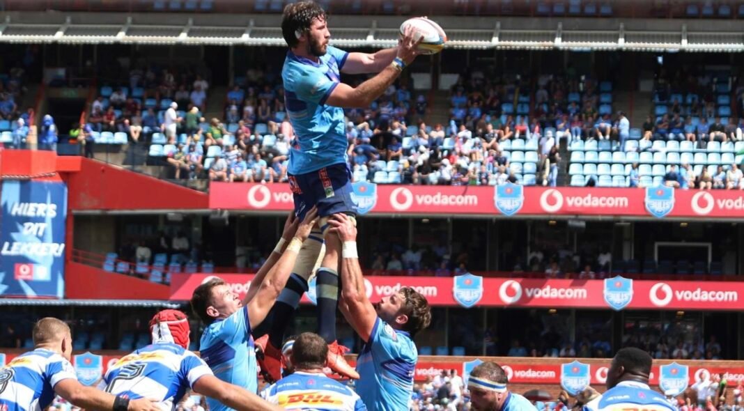 Nortjé: Bulls have to be much better