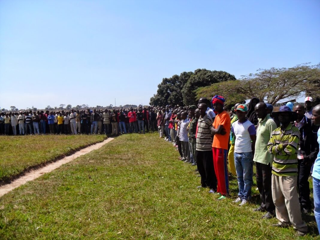 Plus de 5 000 combattants démobilisés en deux ans et demi grâce au programme P-DDRCS en RDC