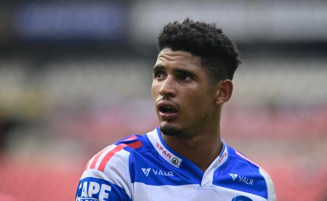 Sacha ready to help Stormers bounce back