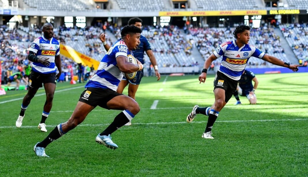 Stormers see off plucky Dragons