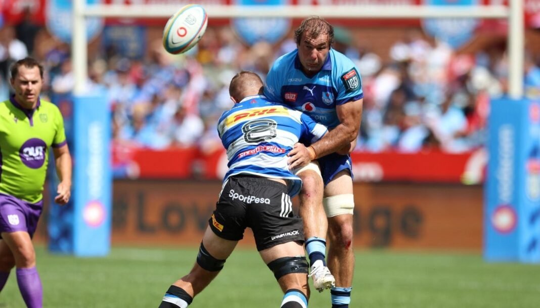 State of Euro cups: Stormers, Bulls on collision course