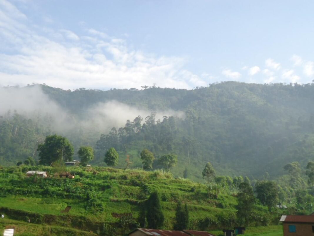 La tension persiste à Masisi après deux jours de combats entre l’AFC/M23 et les Wazalendo
