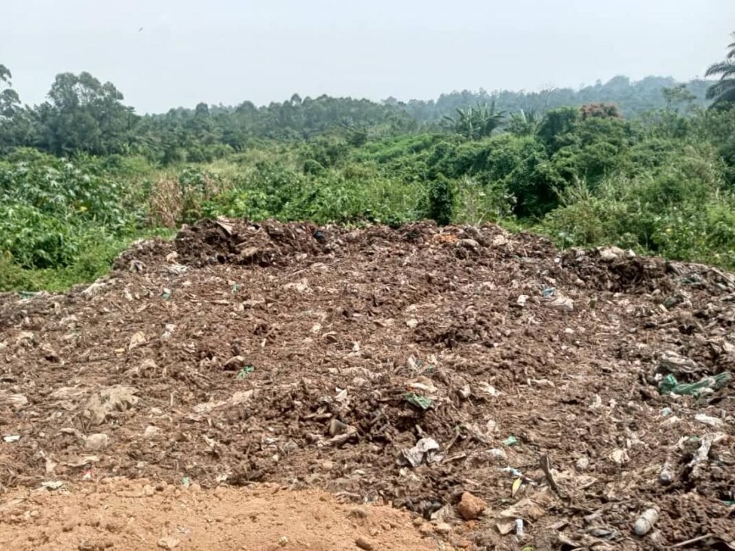 Les effets de la déforestation s'intensifient dans la région de Beni