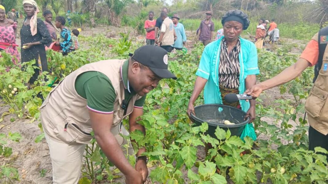 La RDC dotée d’un Cadre de programmation de l’agriculture, la pêche, l’élevage et la sécurité alimentaire