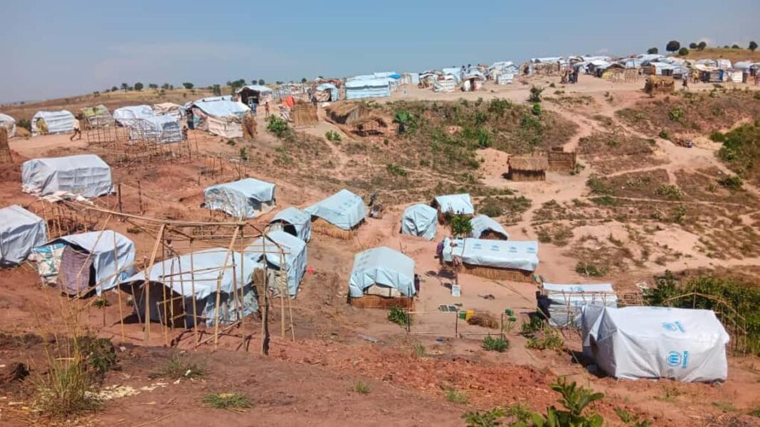 Environ 19 000 ménages de déplacés vivent dans des conditions alarmantes à Rutshuru