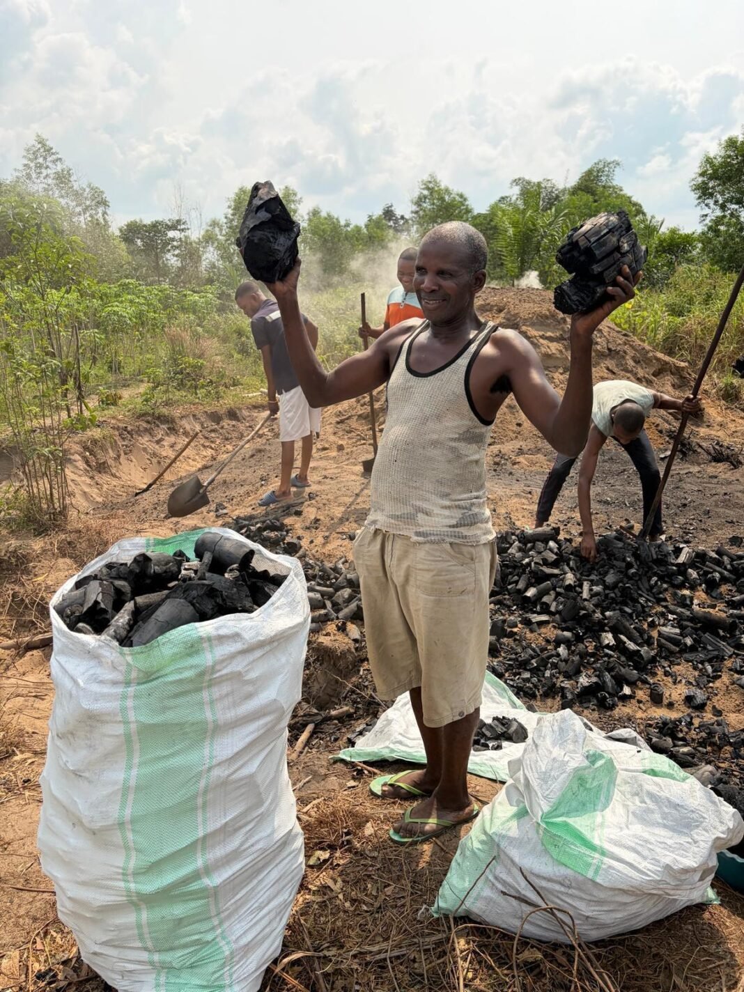 Le charbon de bois s’impose comme la première source d’énergie domestique à Beni