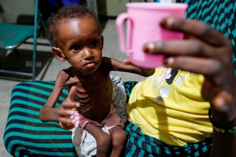 Millions in war-ravaged Sudan surviving on one meal a day, say NGOs