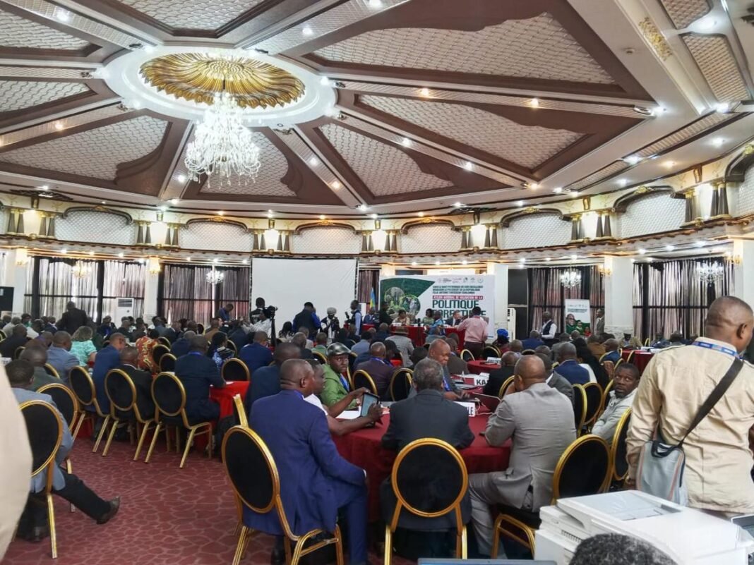 Début de l’atelier de validation de la politique forestière en RDC