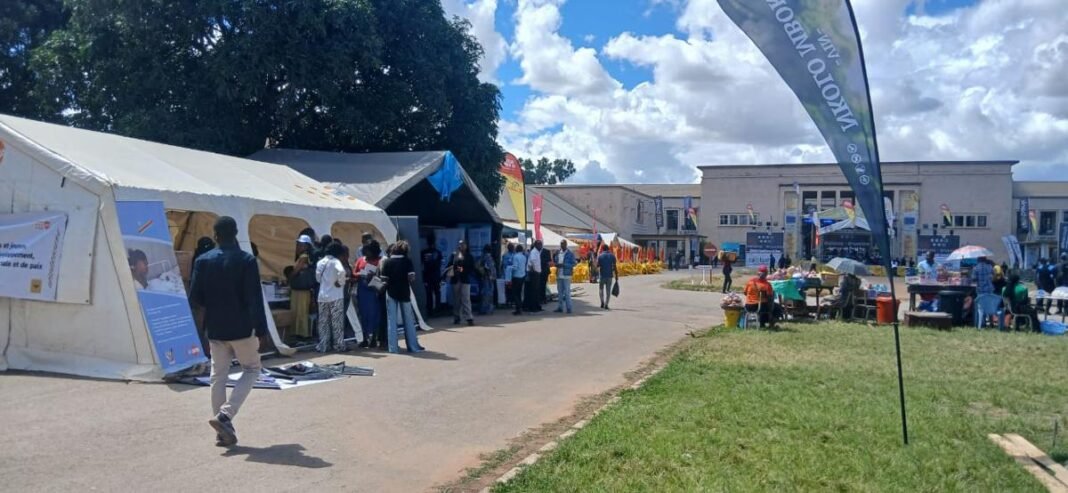 Festival Amani : 35 000 festivaliers attendus à Lubumbashi