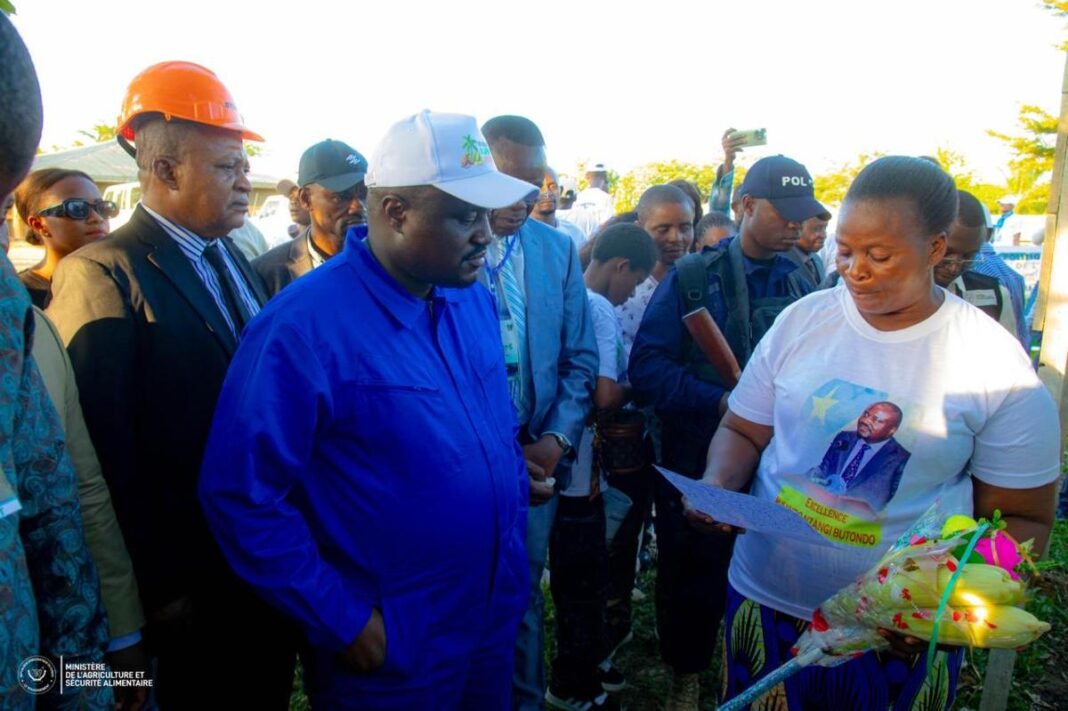 Muhindo Nzangi satisfait du déroulement des semis de café robusta et de cacao à Kindu