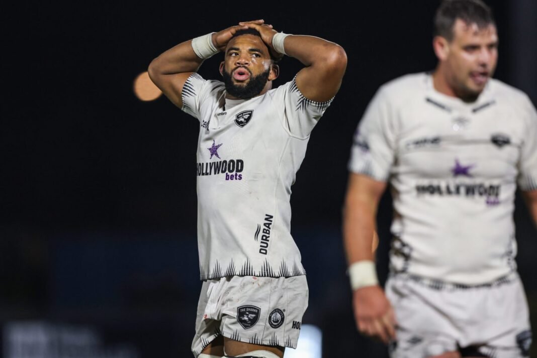 Second half Edinburgh blitz sinks Sharks