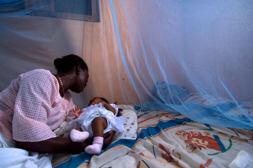 How Southern Africa is getting ahead of the threat of drug-resistant malaria