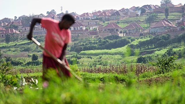 Rwanda tries to protect farmland in Africa’s most densely populated nation