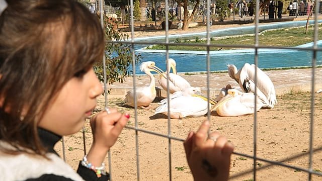 Tripoli zoo reopens to offer Libyans rare respite from violence
